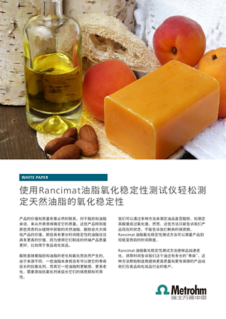 下载白皮书